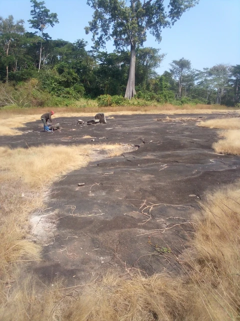 Kwóghó ɗə́ Məɓúgwon Gwêkwoŋ