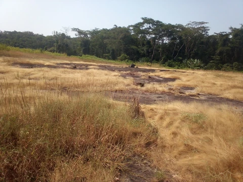 Kwóghó ɗə́ Məɓúgwon Gwêkwoŋ