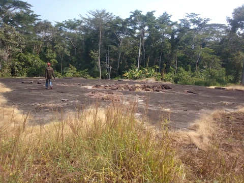 Kwóghó ɗə́ Məɓúgwon Gwêkwoŋ