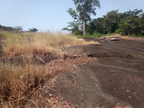 Kwóghó ɗə́ Məɓúgwon Gwêkwoŋ