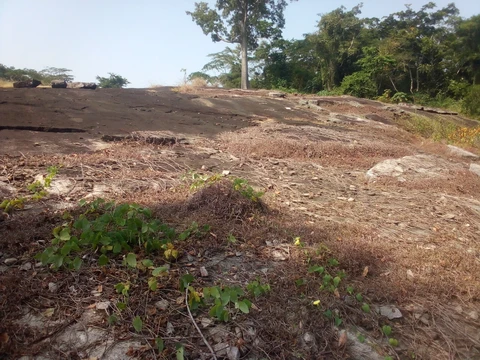 Kwóghó ɗə́ Məɓúgwon Gwêkwoŋ