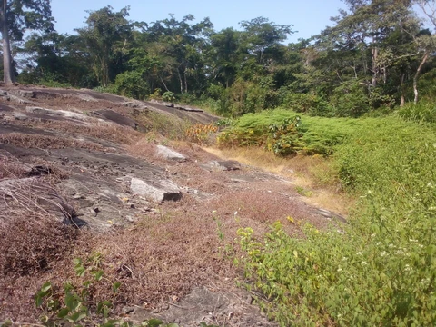 Kwóghó ɗə́ Məɓúgwon Gwêkwoŋ